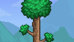 Terraria